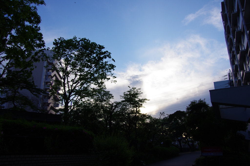 雨上がりの君たちは