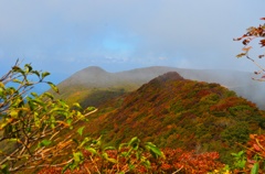 大船山の紅葉