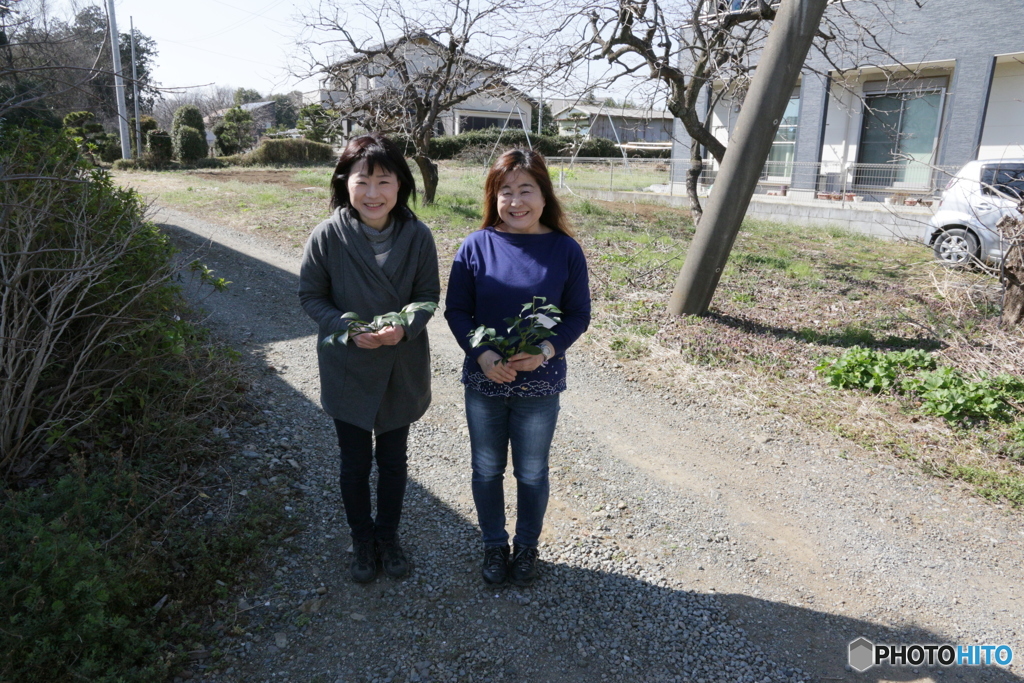 芳地戸のふせぎ