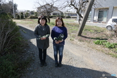 芳地戸のふせぎ