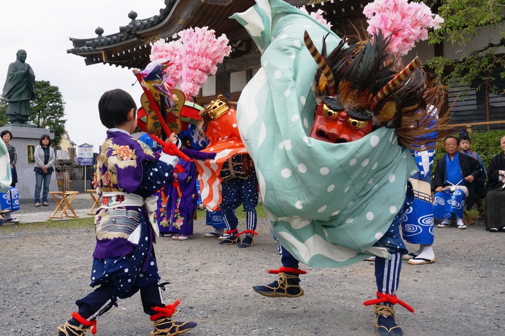  雄獅子