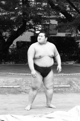 足柄山の金太郎