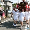  羽村の桜祭