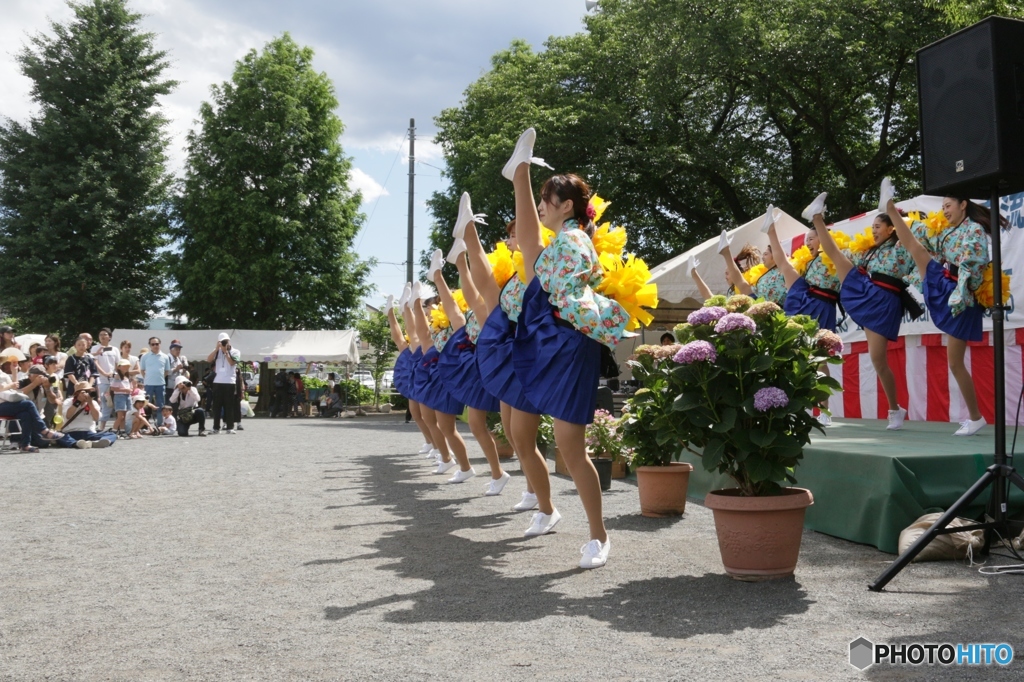  新狭山あじさい祭り 