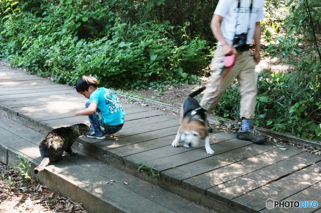 狭山市 智光山公園