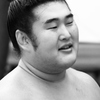  栃の若