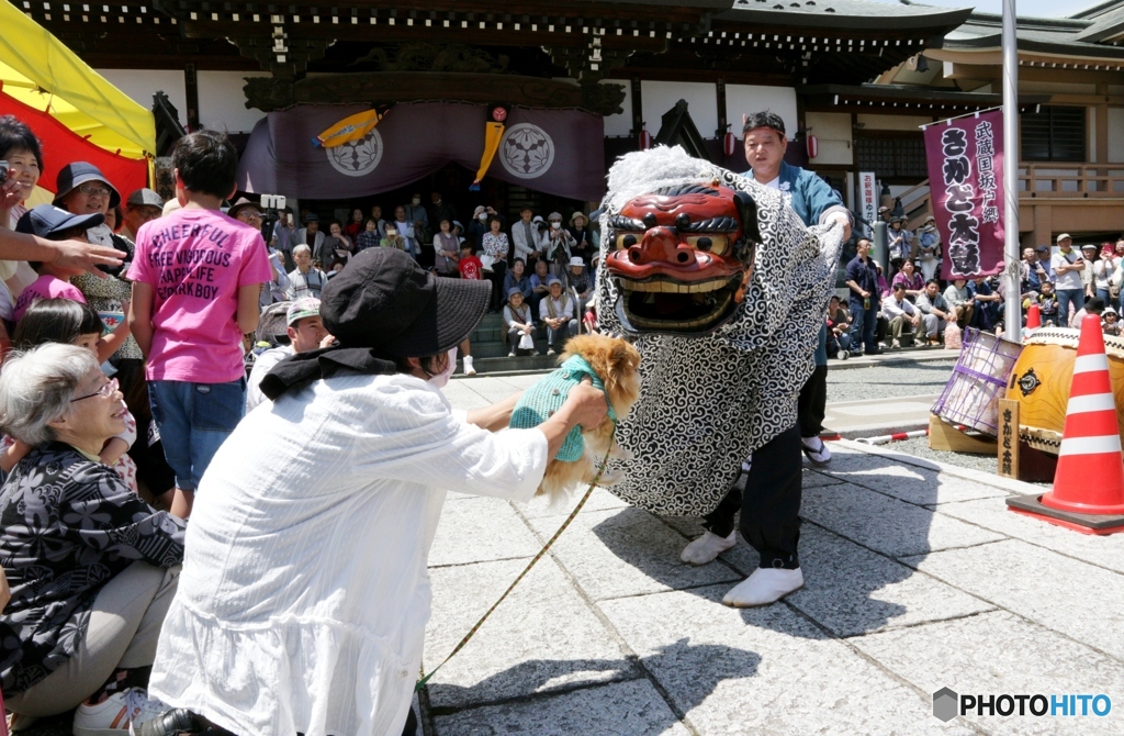 永源寺釈尊降誕祭