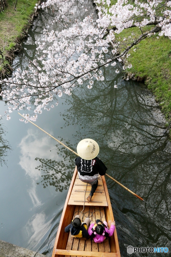 春の舟遊