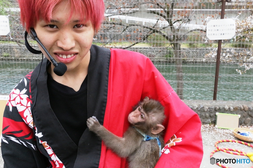  羽村さくらまつり