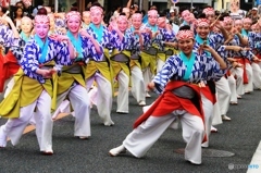  ♪土佐の～高知の～