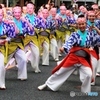  ♪土佐の～高知の～