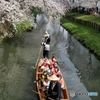 春の舟遊