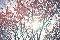 oneday