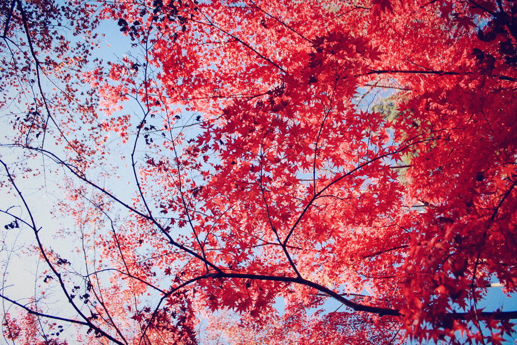 oneday
