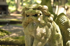 獅子