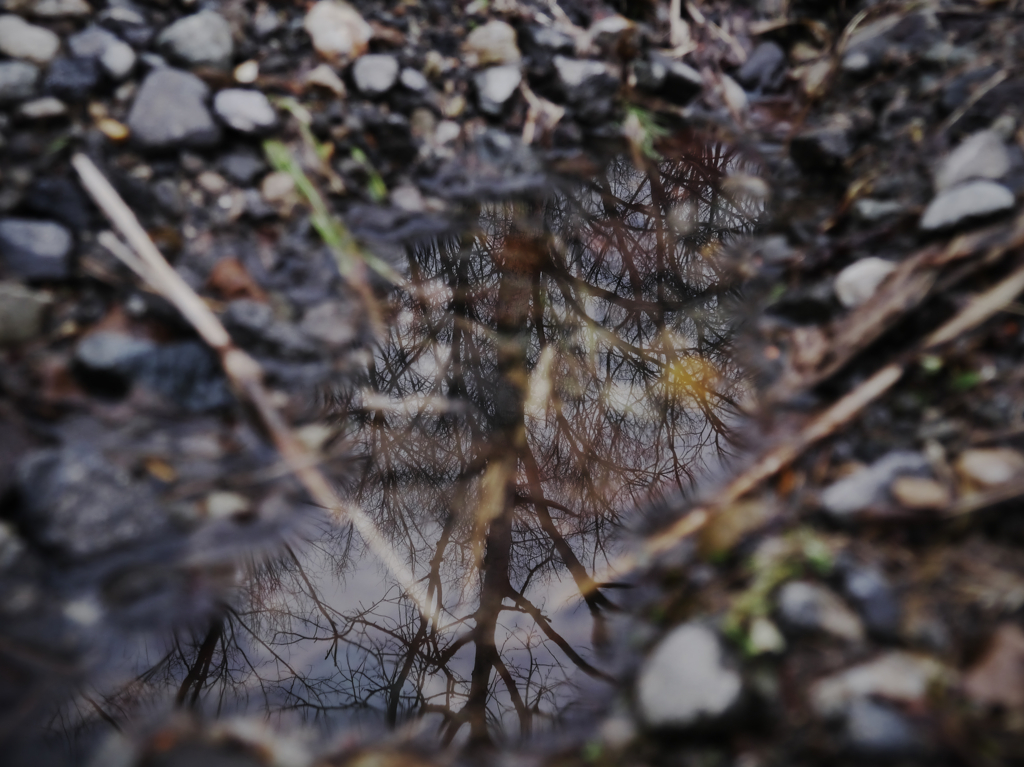 水溜り