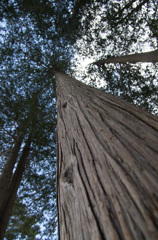 20120314-IMGP2428