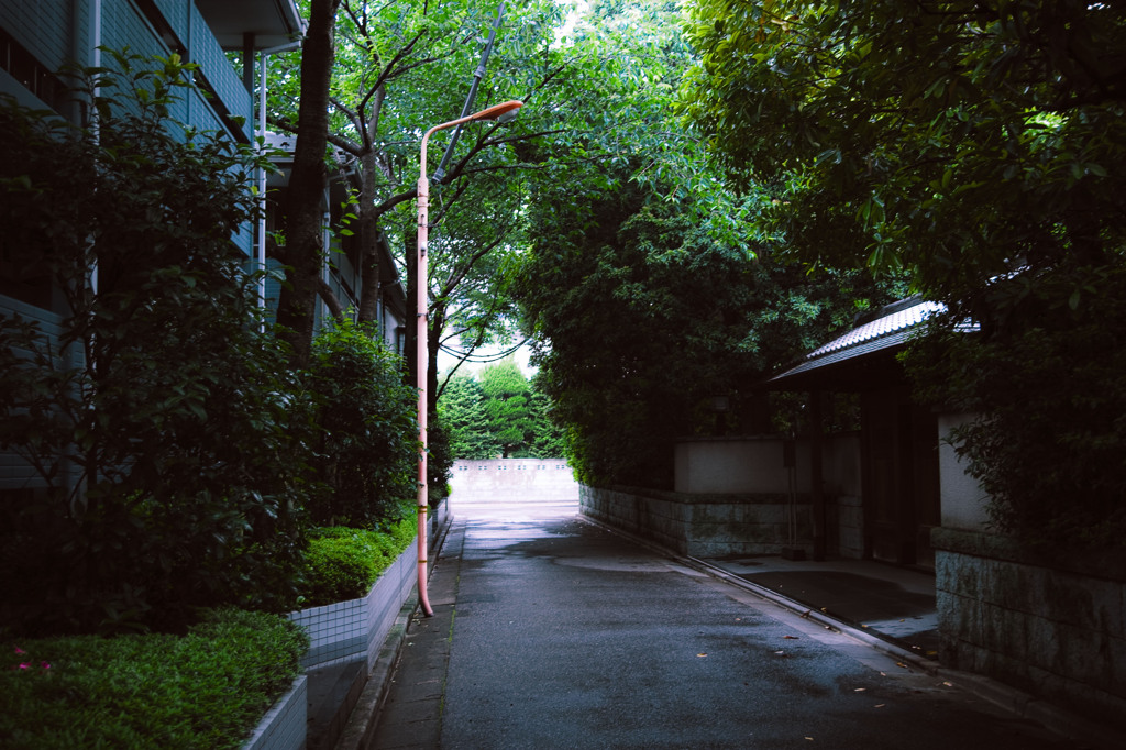 雨の日の神社の入り口