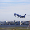 787