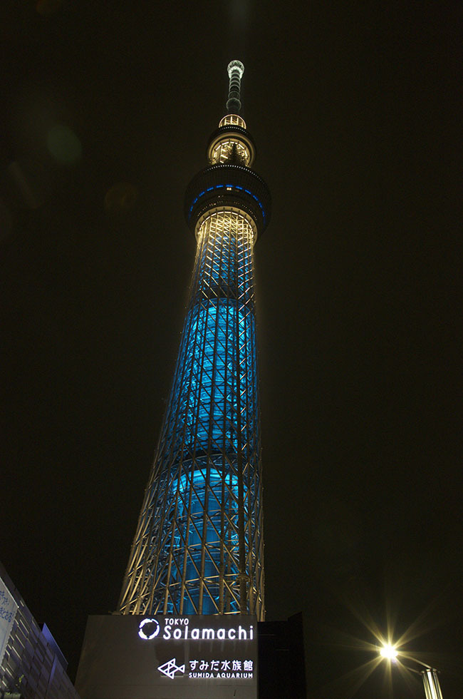ナイトブルー