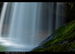 shining veil