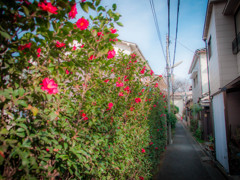 抜け道
