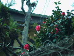 P3256239