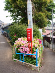 フタマタ