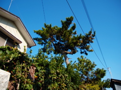 材木座2