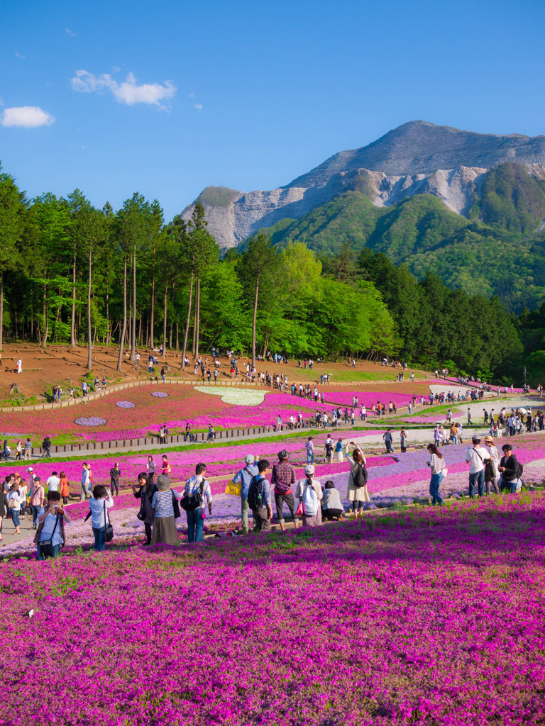 羊山