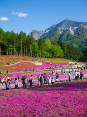 羊山