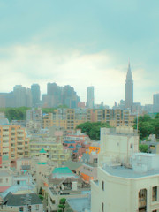 原宿王国