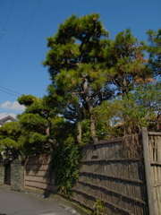 材木座1