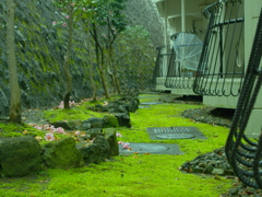 雨上がり