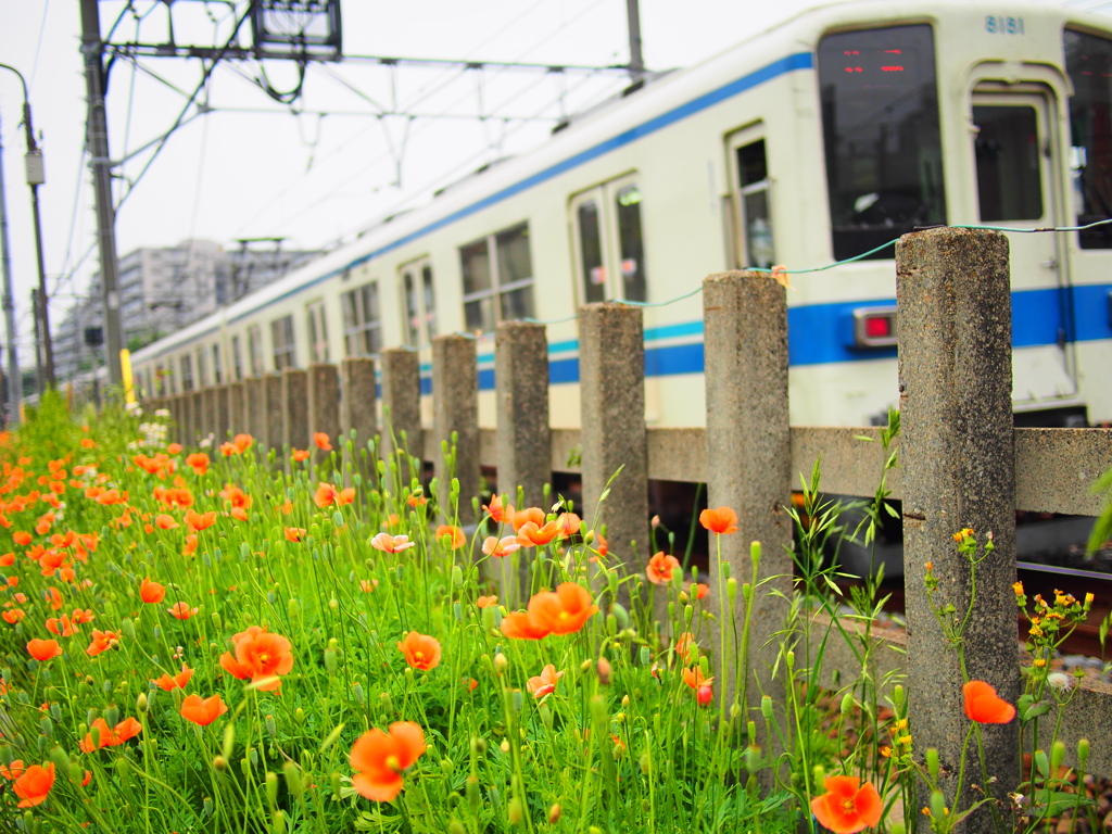 東上線