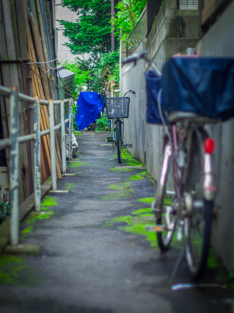 板橋路地