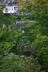DSC_8109