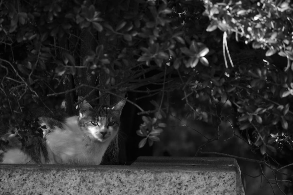 DSC_0508