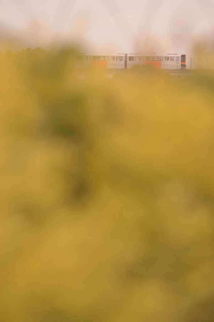 DSC_8008