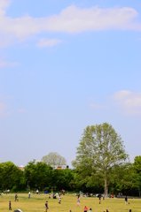 DSC_7903
