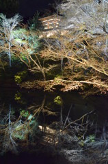 高台寺1