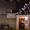 桜とバー