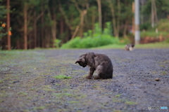 どした？