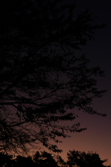 夜明け