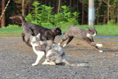 鬼ごっこ