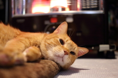 ストーブ