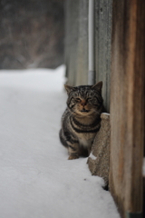 さむぃぃ〜