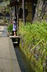夏の日差し