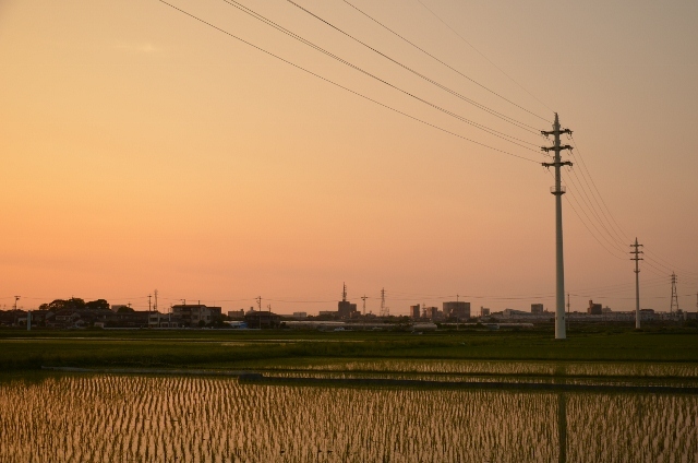 いつもの帰り道