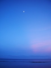 P1010424